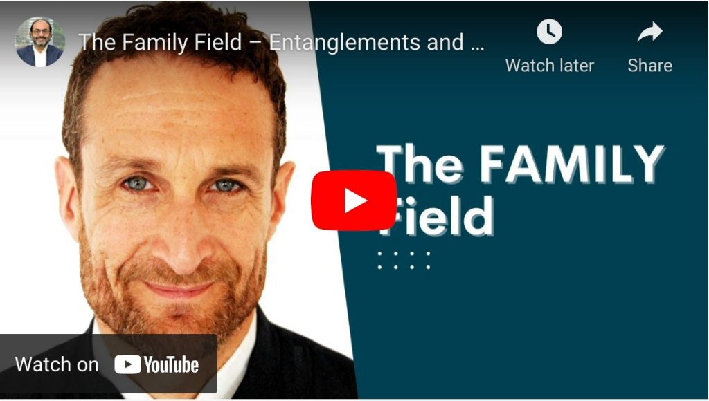 THE FAMILY FIELD – ENTANGLEMENTS AND FLOW